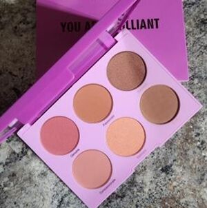 NIB RealHer You Are Brilliant 6 Pan Pro Blush Palette